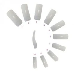 HM Nail Tips French 500 Pack